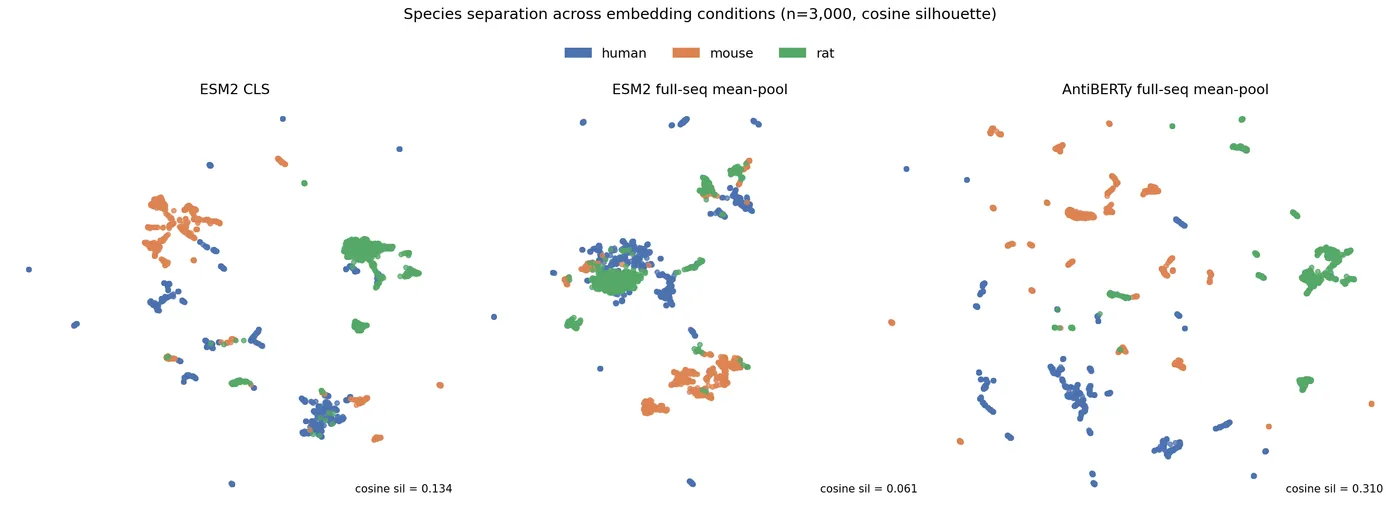 Silhouette scores comparing AntiBERTy and ESM2 across pooling strategies